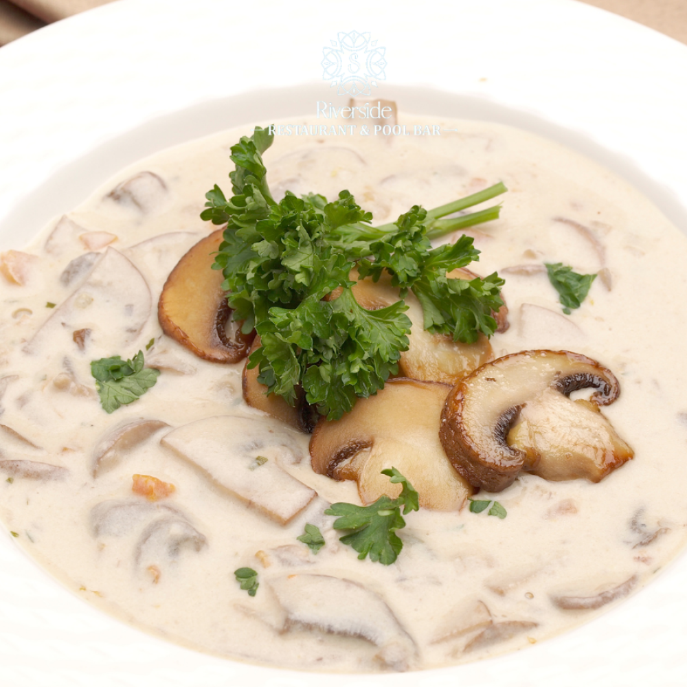 Mushroom Cream Soup with Grilled bread cubes